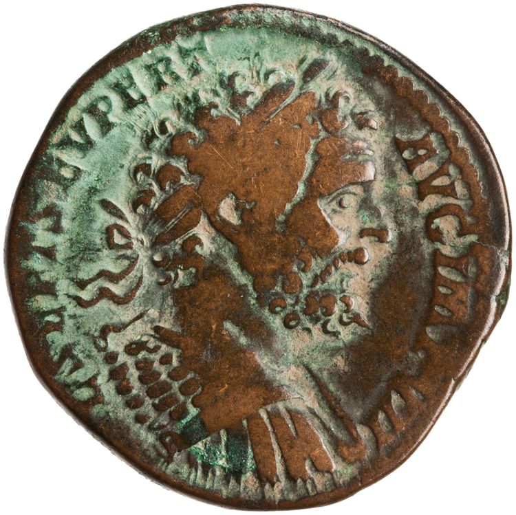 RIC IV Septimius Severus 708, аверс, American Numismatic Society (ans)