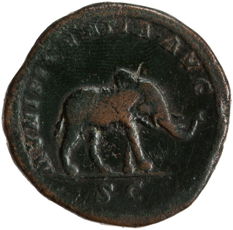 реверс RIC IV Septimius Severus 721a