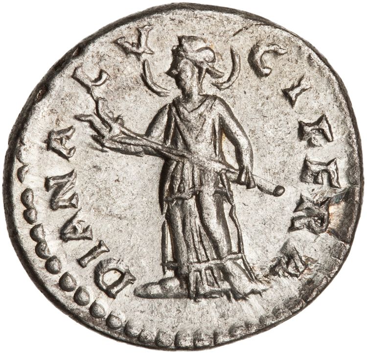 RIC IV Septimius Severus 548 (denarius), реверс, American Numismatic Society (ans)