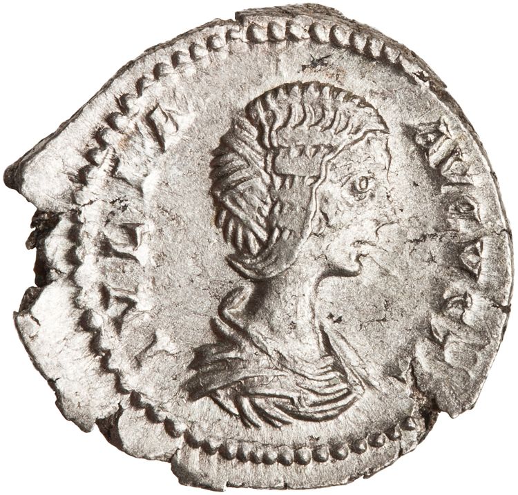 RIC IV Septimius Severus 551, obverse, American Numismatic Society (ans)