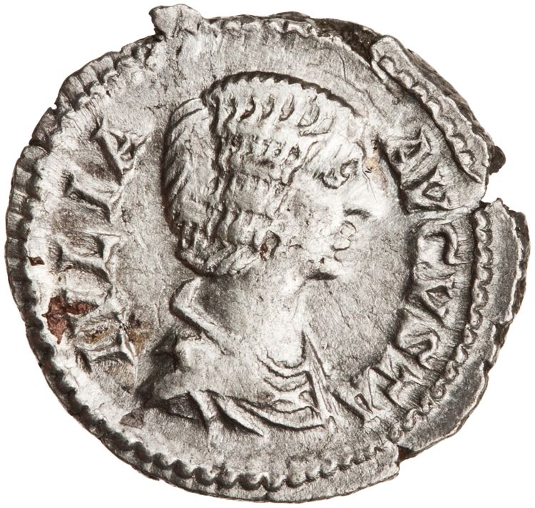 RIC IV Septimius Severus 551, obverse, American Numismatic Society (ans)
