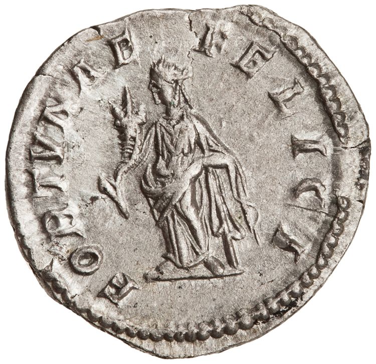 RIC IV Septimius Severus 552, реверс, American Numismatic Society (ans)