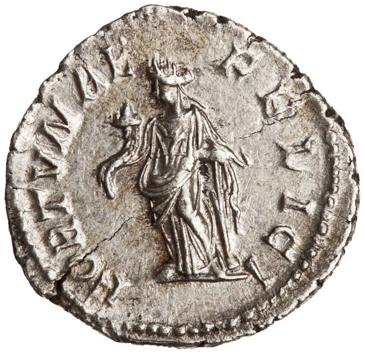 RIC IV Septimius Severus 552, реверс, American Numismatic Society (ans)