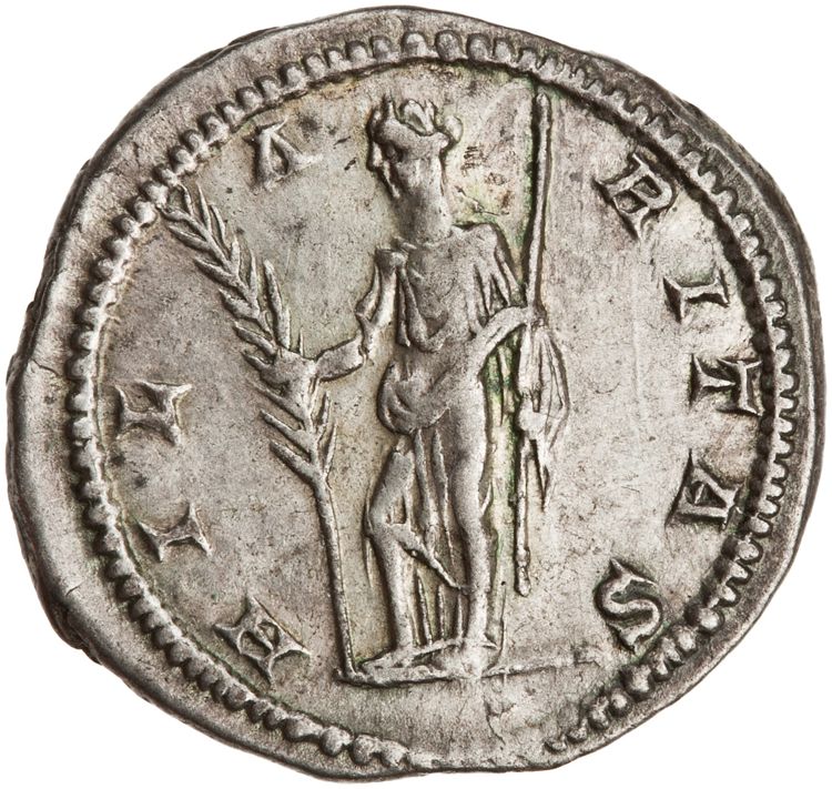 RIC IV Septimius Severus 555 (denarius), реверс, American Numismatic Society (ans)