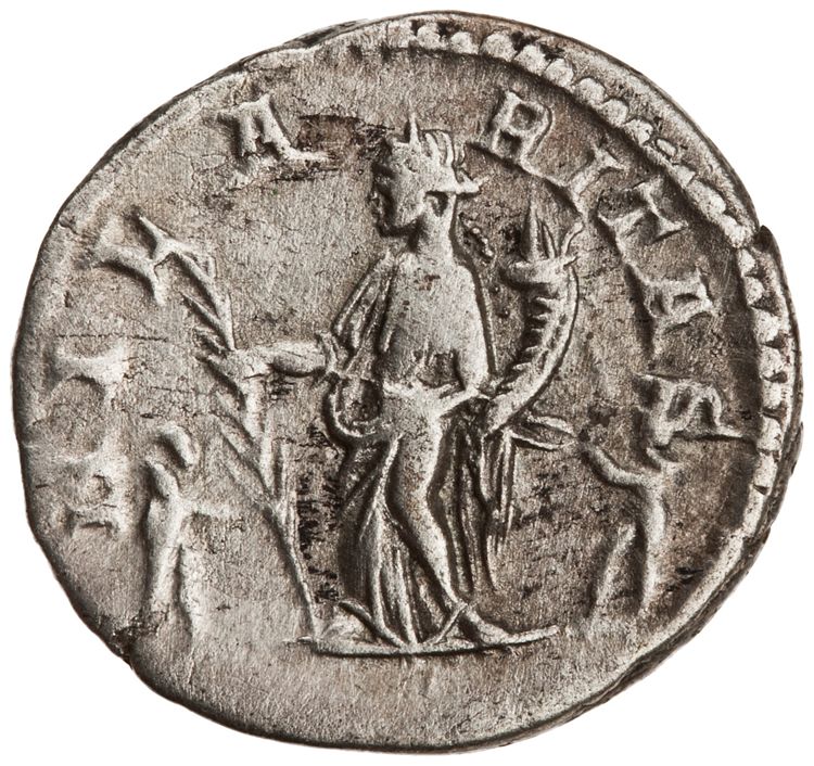RIC IV Septimius Severus 557, reverse, American Numismatic Society (ans)