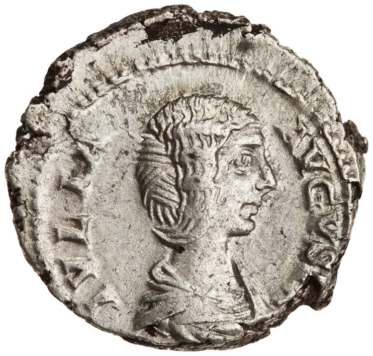 RIC IV Septimius Severus 557, obverse, American Numismatic Society (ans)