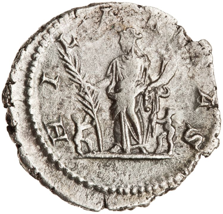 RIC IV Septimius Severus 557, reverse, American Numismatic Society (ans)