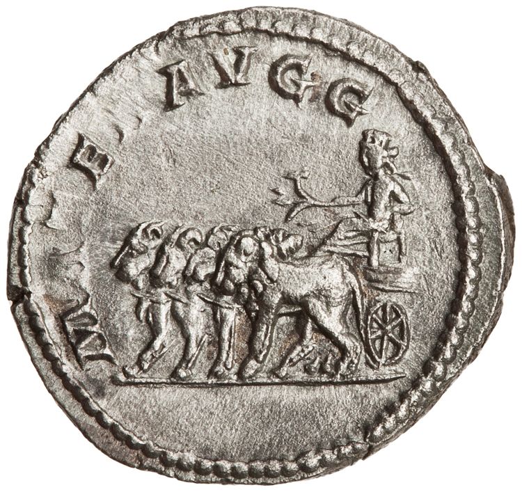 RIC IV Septimius Severus 562 (denarius), реверс, American Numismatic Society (ans)