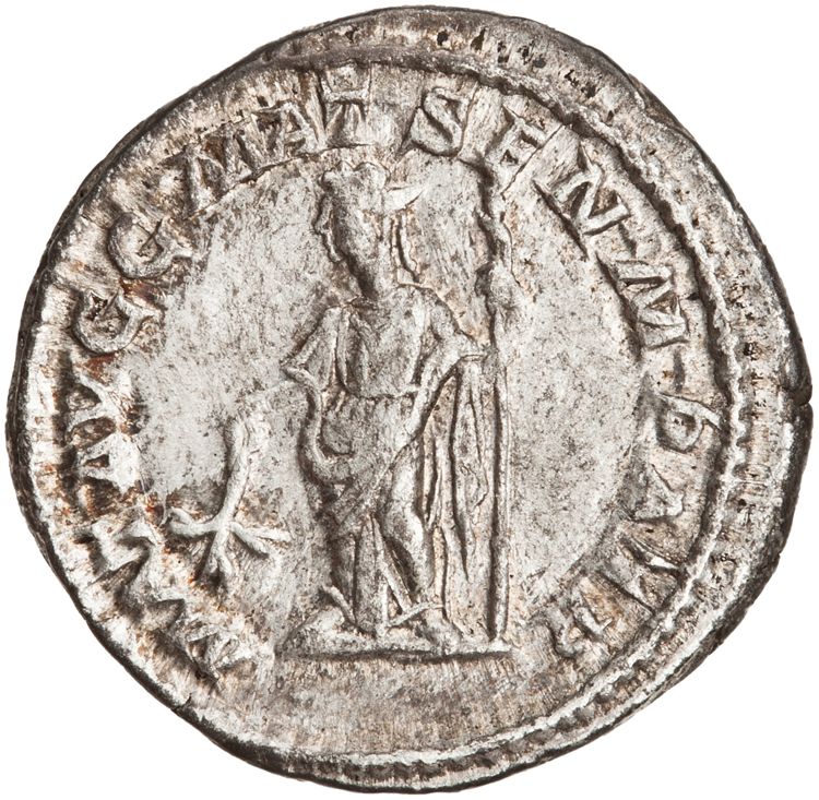 RIC IV Caracalla 380 (denarius), реверс, American Numismatic Society (ans)