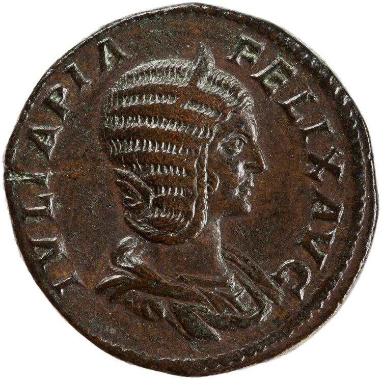 RIC IV Caracalla 593, аверс, American Numismatic Society (ans)
