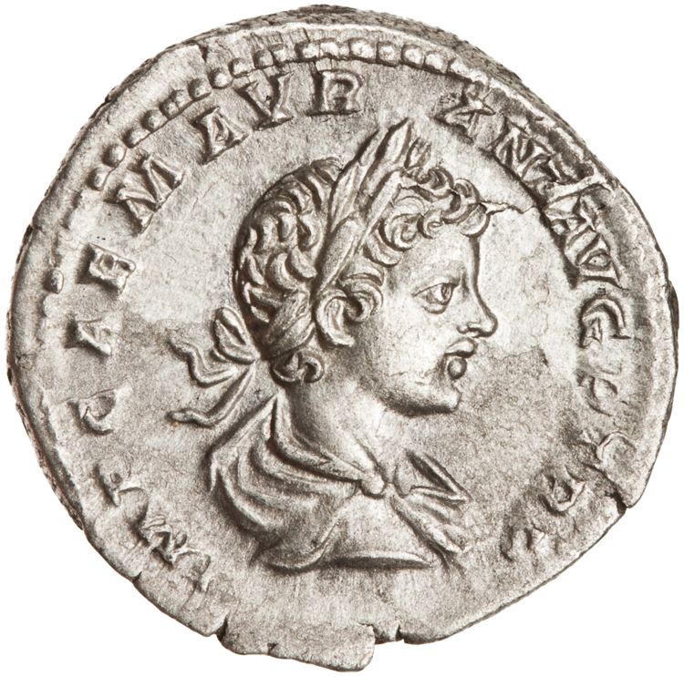 RIC IV Caracalla 25a (denarius), obverse, American Numismatic Society (ans)