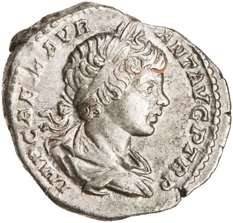 RIC IV Caracalla 25a (denarius), obverse, American Numismatic Society (ans)