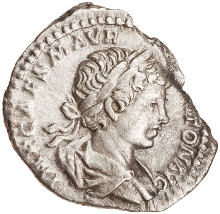 RIC IV Caracalla 22A, аверс, American Numismatic Society (ans)