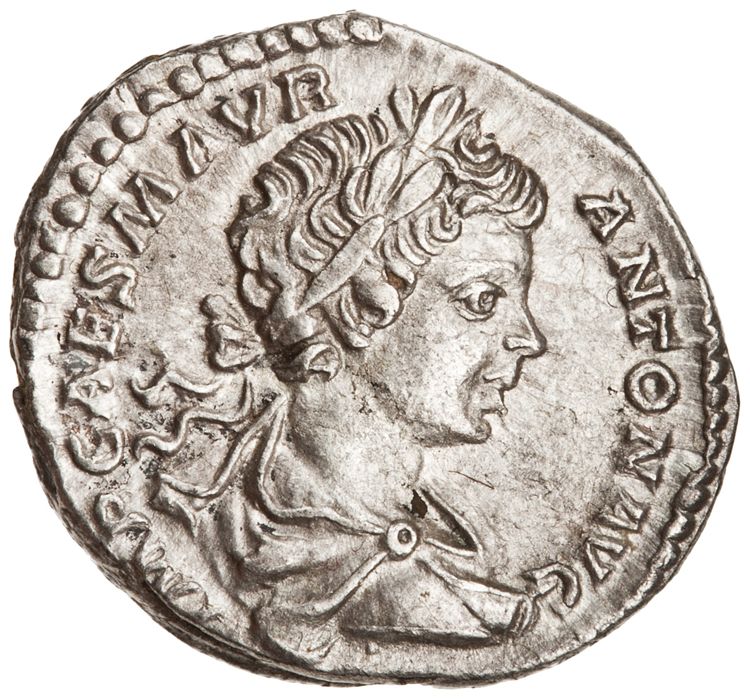 RIC IV Caracalla 27A, аверс, American Numismatic Society (ans)
