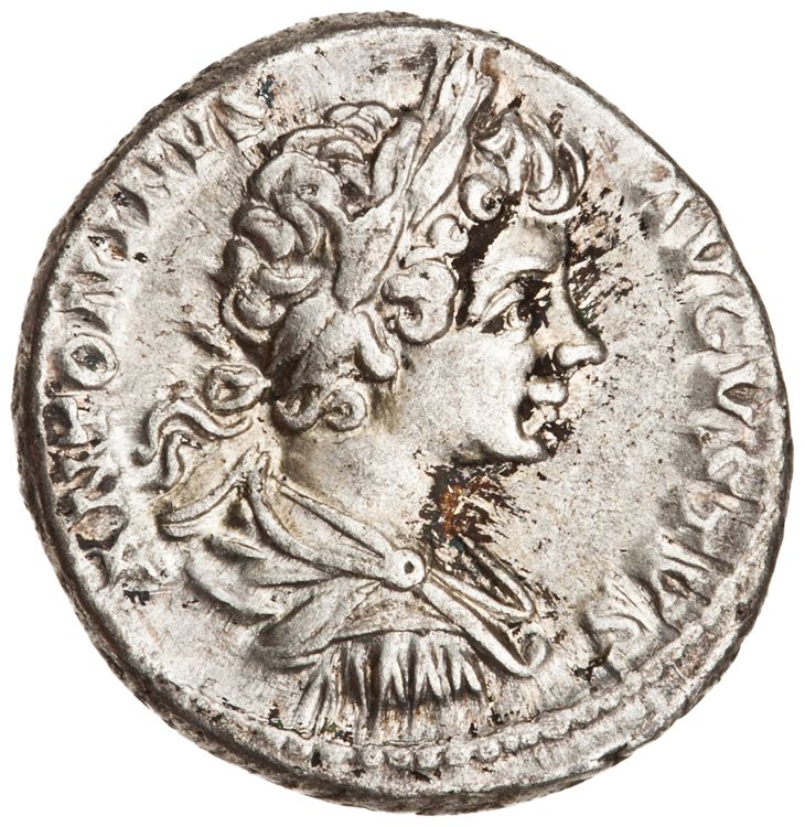 RIC IV Caracalla 29 (denarius), аверс, American Numismatic Society (ans)