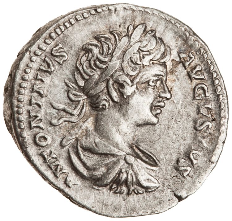 RIC IV Caracalla 39A (denarius), аверс, American Numismatic Society (ans)