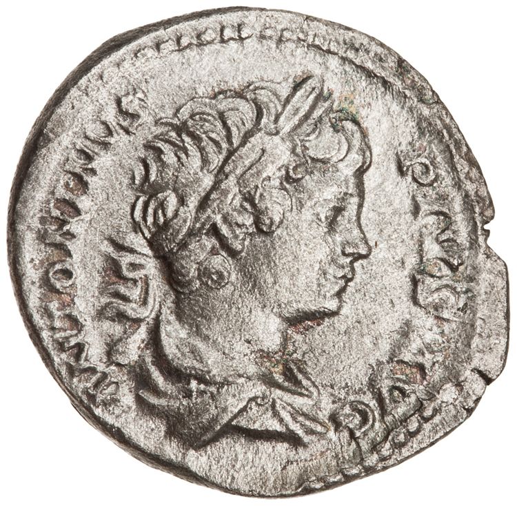 RIC IV Caracalla 54B, аверс, American Numismatic Society (ans)