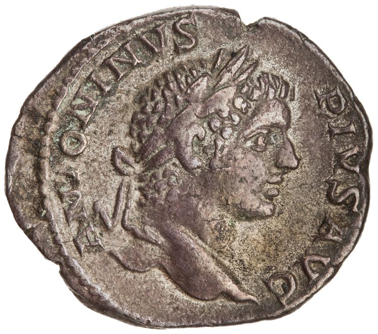 RIC IV Caracalla 153, аверс, American Numismatic Society (ans)