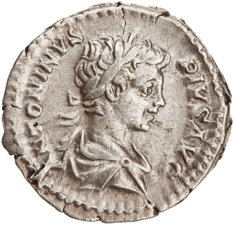 RIC IV Caracalla 130A (denarius), obverse, American Numismatic Society (ans)