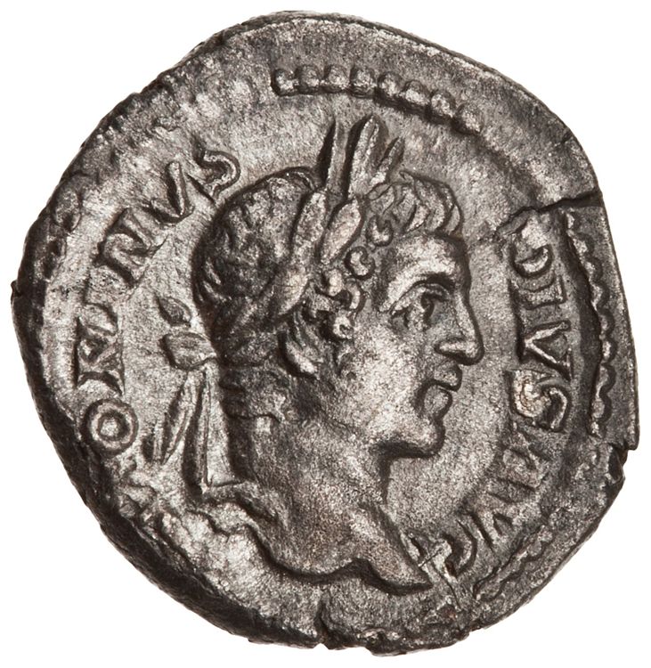 RIC IV Caracalla 86, аверс, American Numismatic Society (ans)