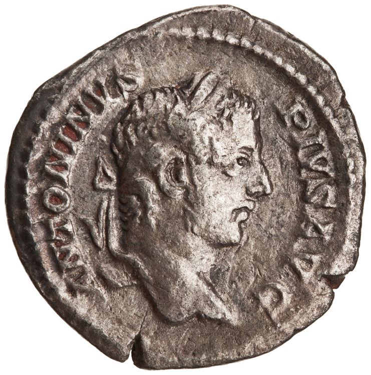 RIC IV Caracalla 161, аверс, American Numismatic Society (ans)