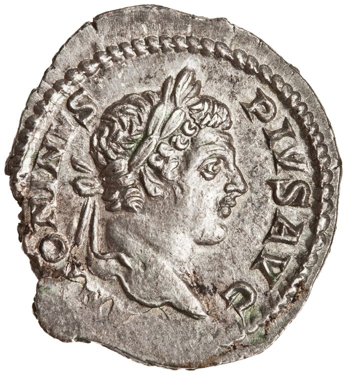 RIC IV Caracalla 179, аверс, American Numismatic Society (ans)