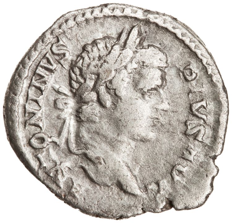 RIC IV Caracalla 179, аверс, American Numismatic Society (ans)