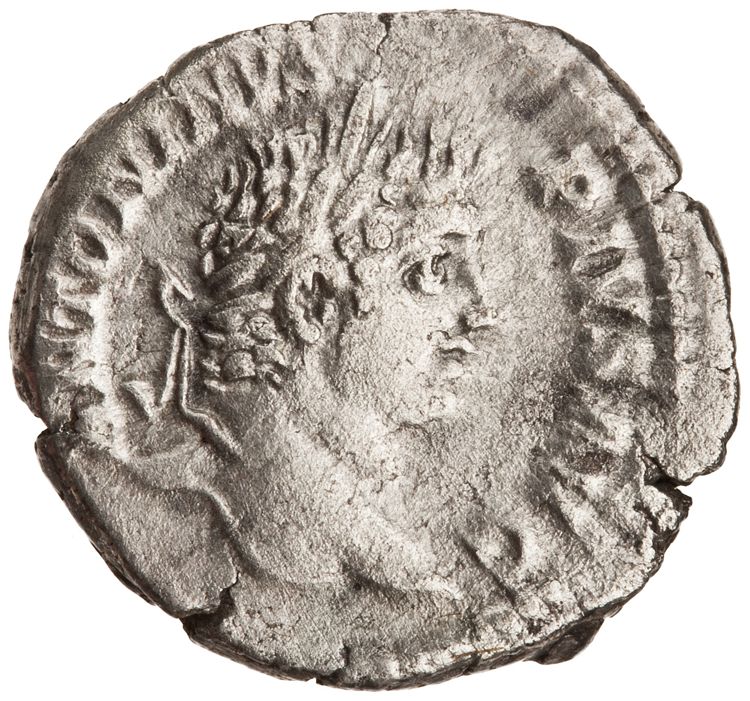 RIC IV Caracalla 88, аверс, American Numismatic Society (ans)
