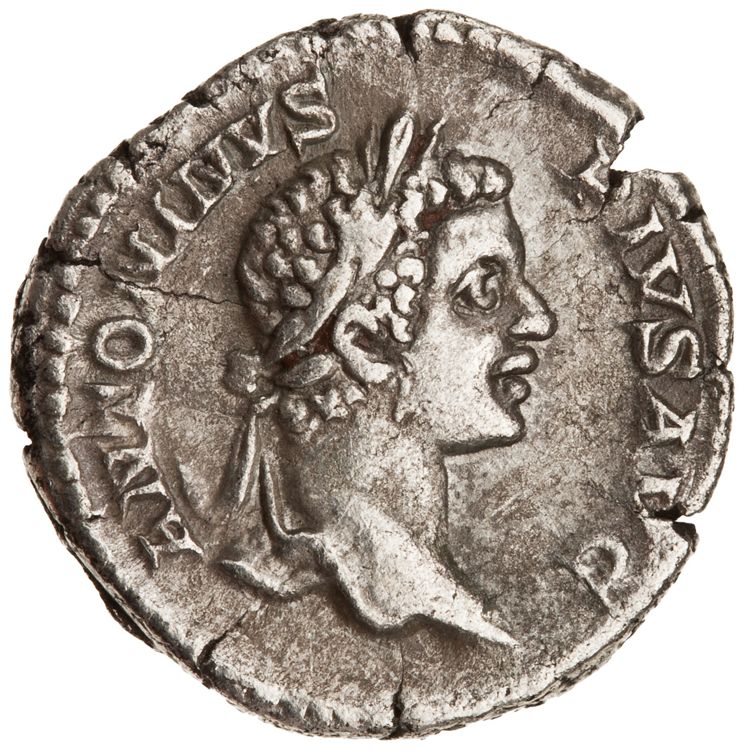 RIC IV Caracalla 88, аверс, American Numismatic Society (ans)