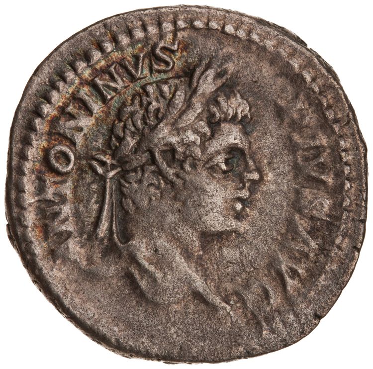 RIC IV Caracalla 88, аверс, American Numismatic Society (ans)