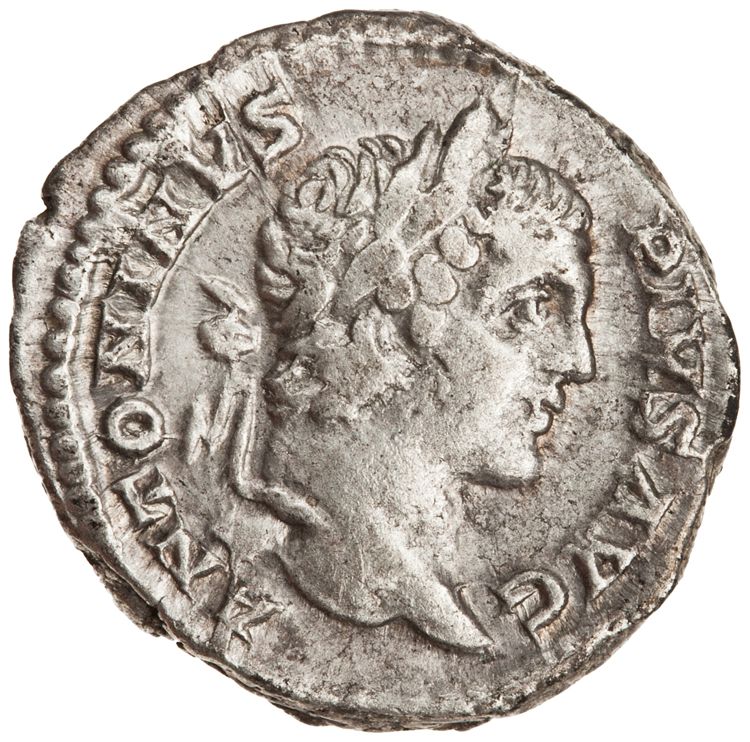 RIC IV Caracalla 96, аверс, American Numismatic Society (ans)