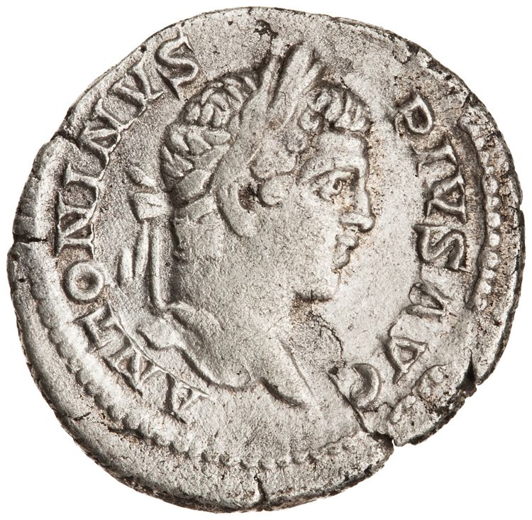 RIC IV Caracalla 97, аверс, American Numismatic Society (ans)