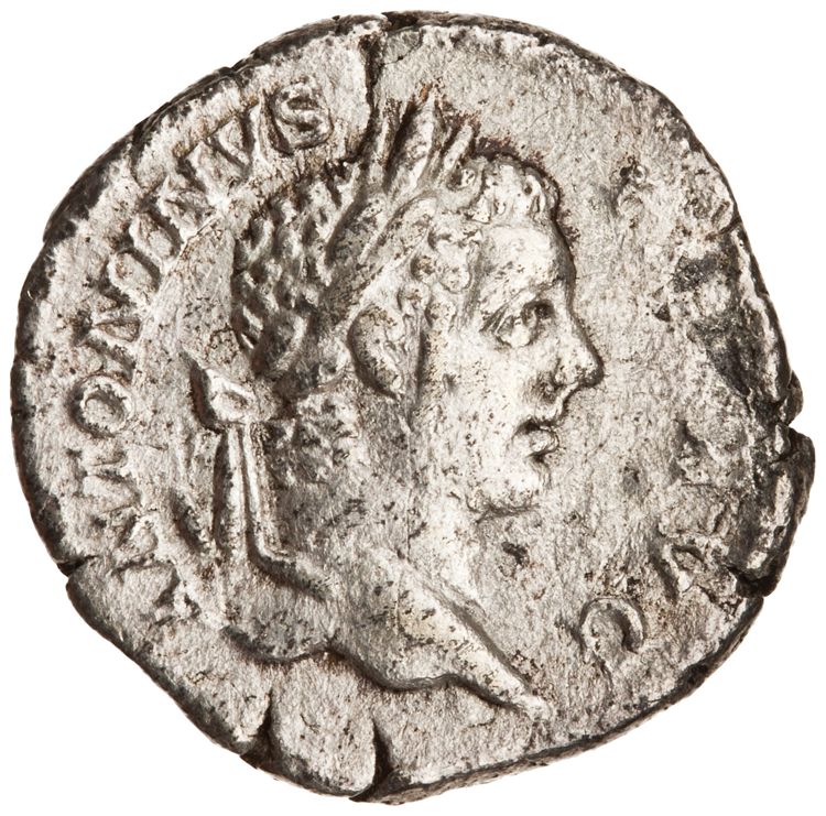 RIC IV Caracalla 107, аверс, American Numismatic Society (ans)