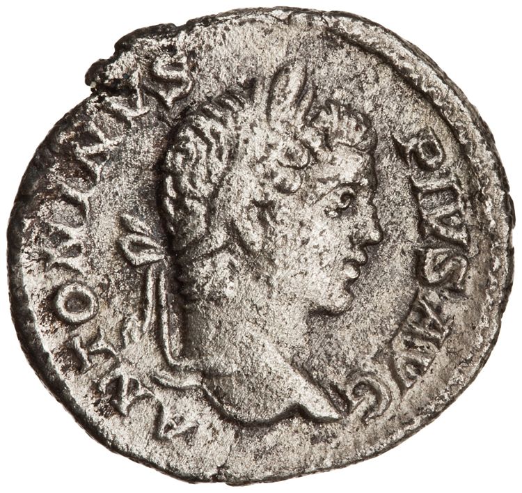 RIC IV Caracalla 107, аверс, American Numismatic Society (ans)