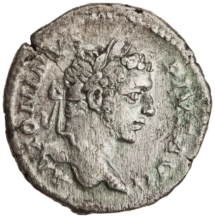 RIC IV Caracalla 108, аверс, American Numismatic Society (ans)