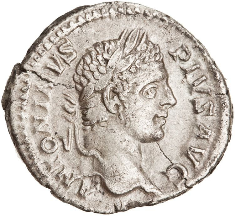 RIC IV Caracalla 204, аверс, American Numismatic Society (ans)