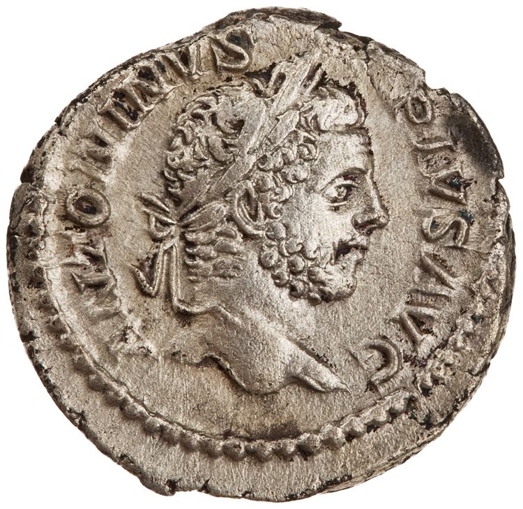 RIC IV Caracalla 117A, obverse, American Numismatic Society (ans)