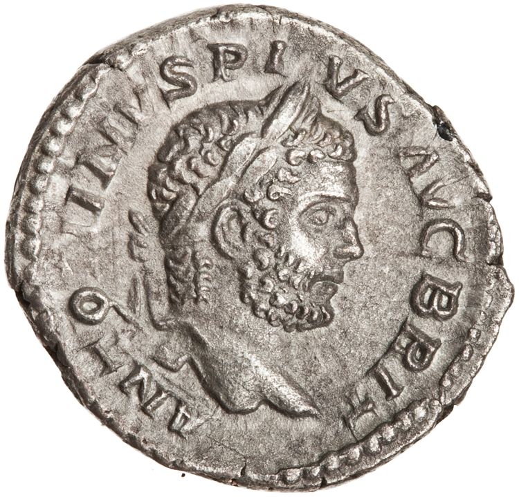 RIC IV Caracalla 116B, obverse, American Numismatic Society (ans)