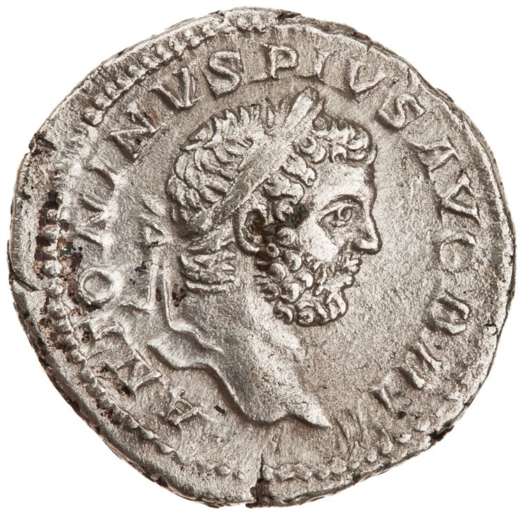 RIC IV Caracalla 116B, obverse, American Numismatic Society (ans)