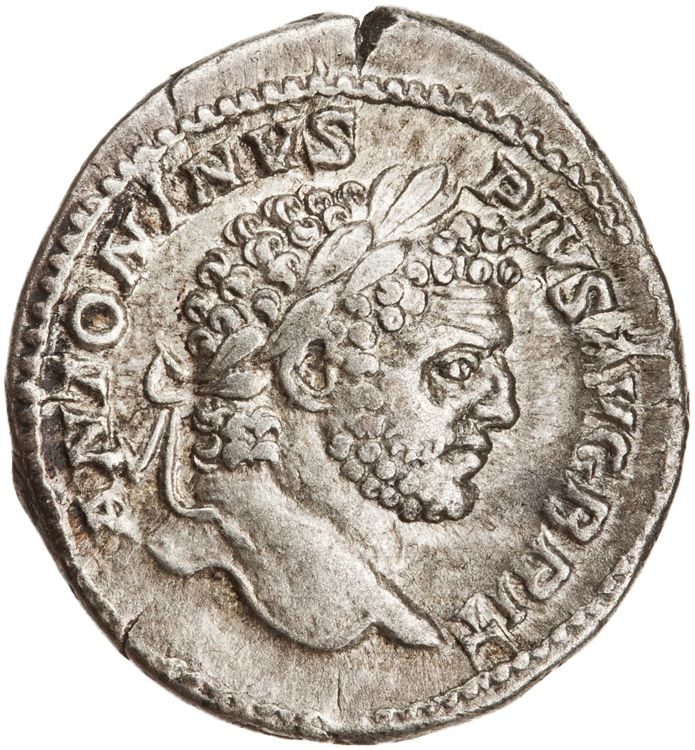 RIC IV Caracalla 214, obverse, American Numismatic Society (ans)