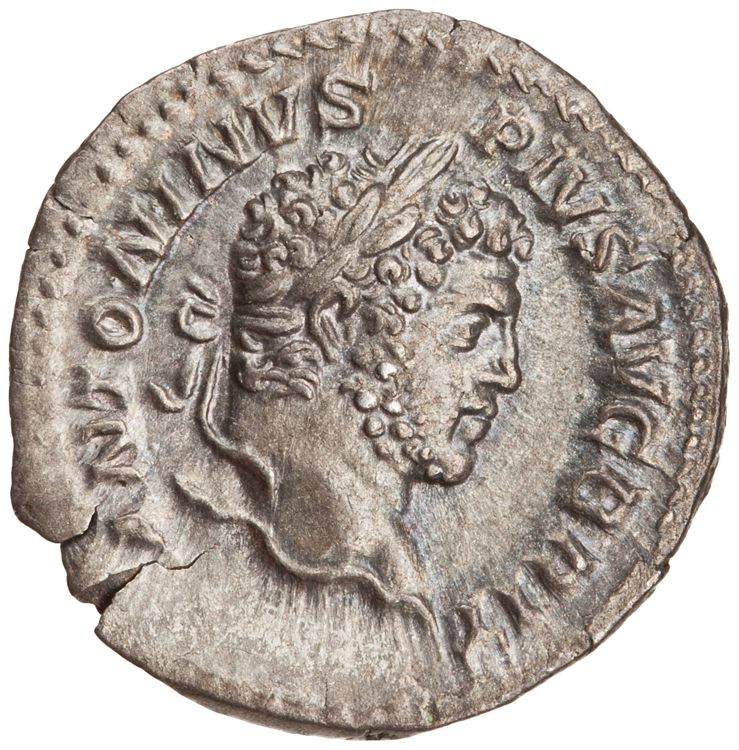 RIC IV Caracalla 214, obverse, American Numismatic Society (ans)