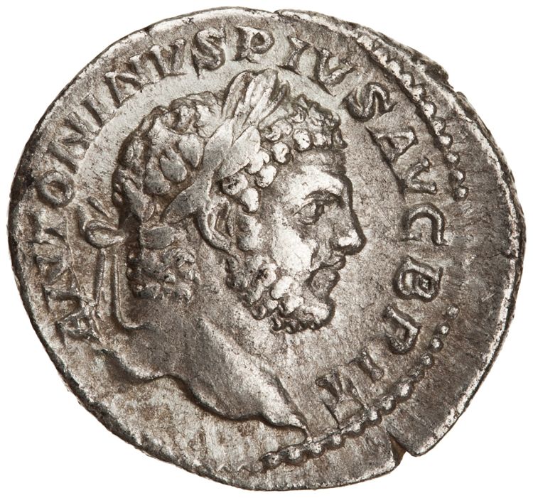 RIC IV Caracalla 220, аверс, American Numismatic Society (ans)