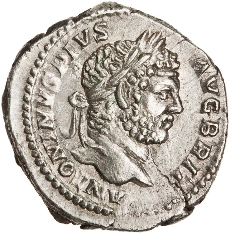 RIC IV Caracalla 219, аверс, American Numismatic Society (ans)