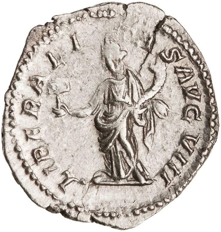 RIC IV Caracalla 219, реверс, American Numismatic Society (ans)
