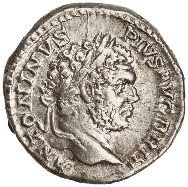 RIC IV Caracalla 222, аверс, American Numismatic Society (ans)