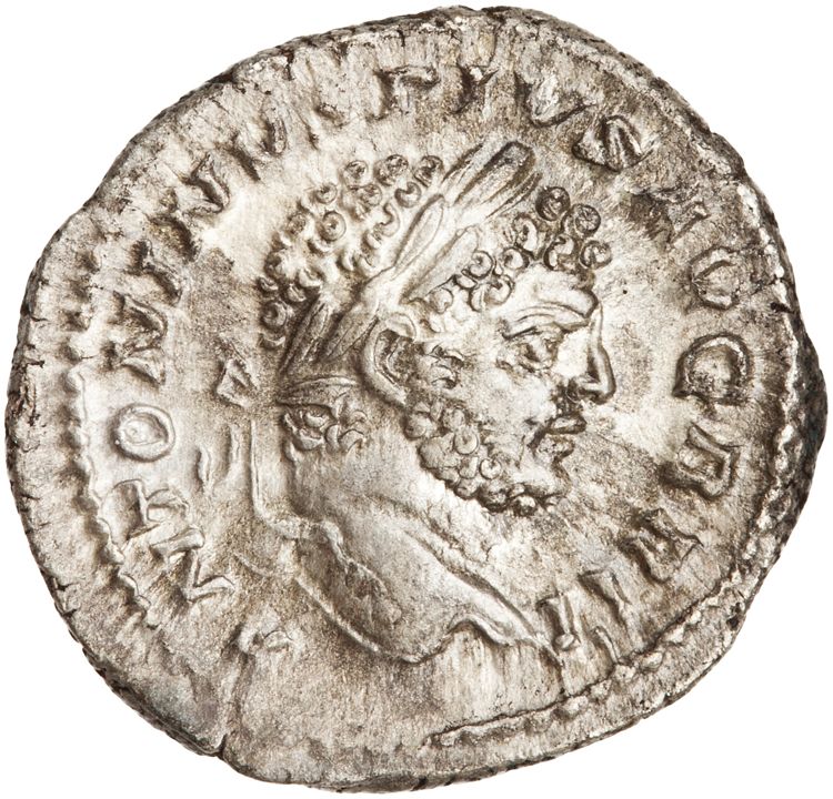 RIC IV Caracalla 223, аверс, American Numismatic Society (ans)