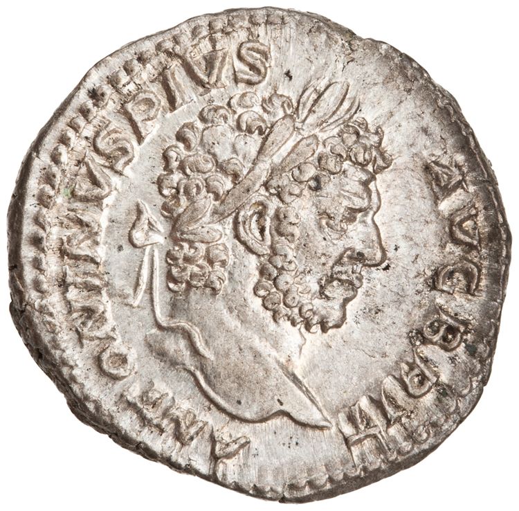 RIC IV Caracalla 223, аверс, American Numismatic Society (ans)