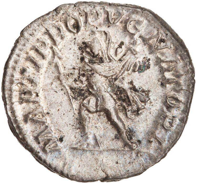RIC IV Caracalla 223, реверс, American Numismatic Society (ans)