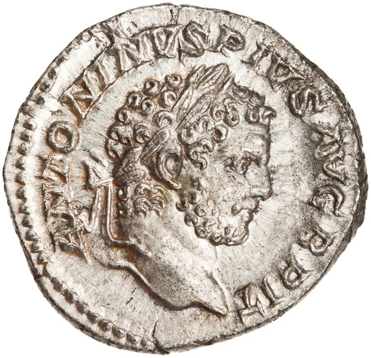RIC IV Caracalla 224, аверс, American Numismatic Society (ans)