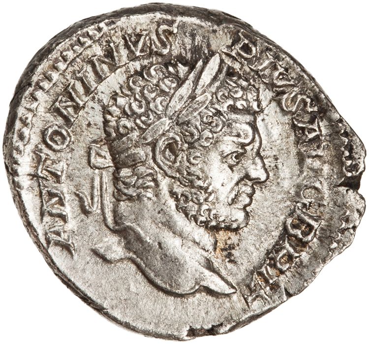 RIC IV Caracalla 224, аверс, American Numismatic Society (ans)